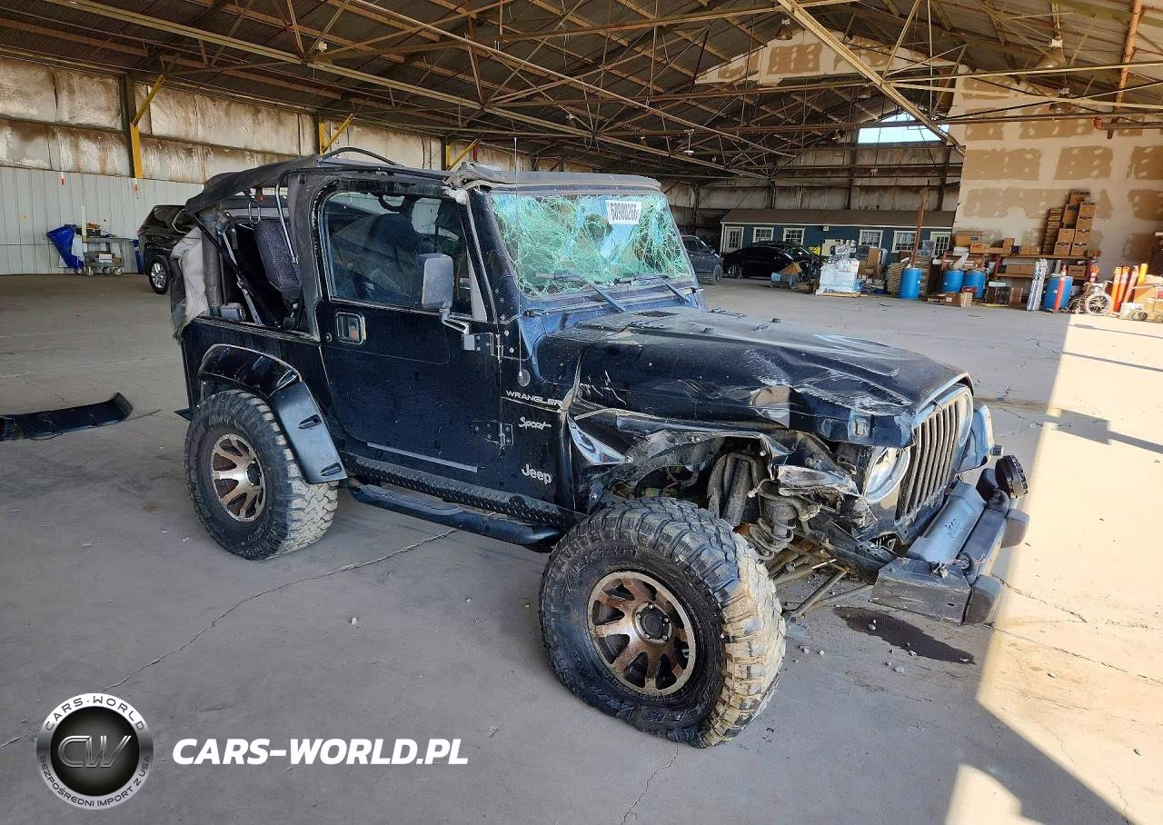 2002 Jeep Wrangler - Tj Sport VIN:1J4FA49S82P700114 - 4