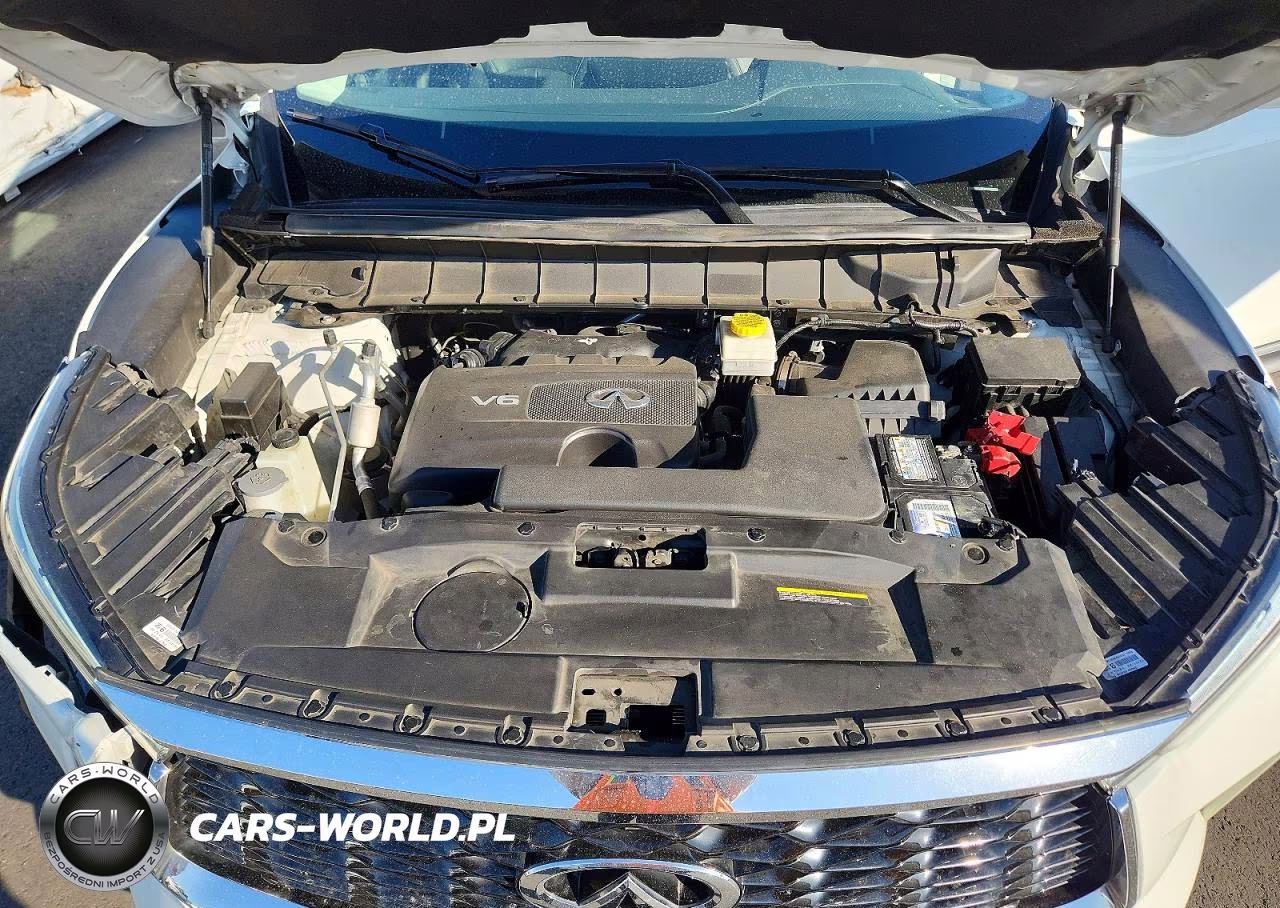 2024 Infiniti Qx60 Pure VIN:5N1DL1ER3RC344208 - 12