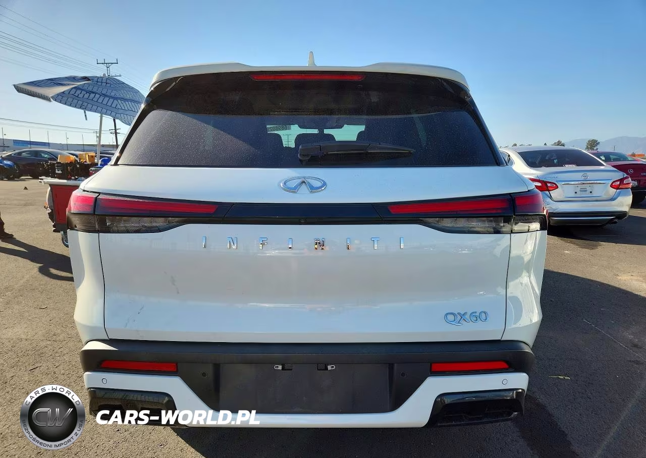 2024 Infiniti Qx60 Pure VIN:5N1DL1ER3RC344208 - 6