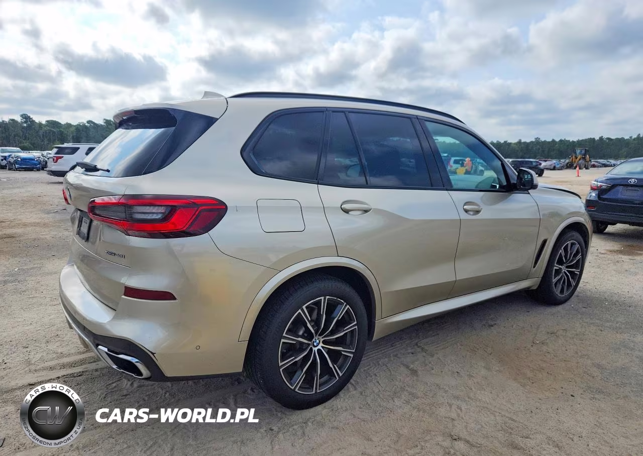 2019 BMW X5 xDrive40I VIN:5UXCR6C50KLL07021 - 3