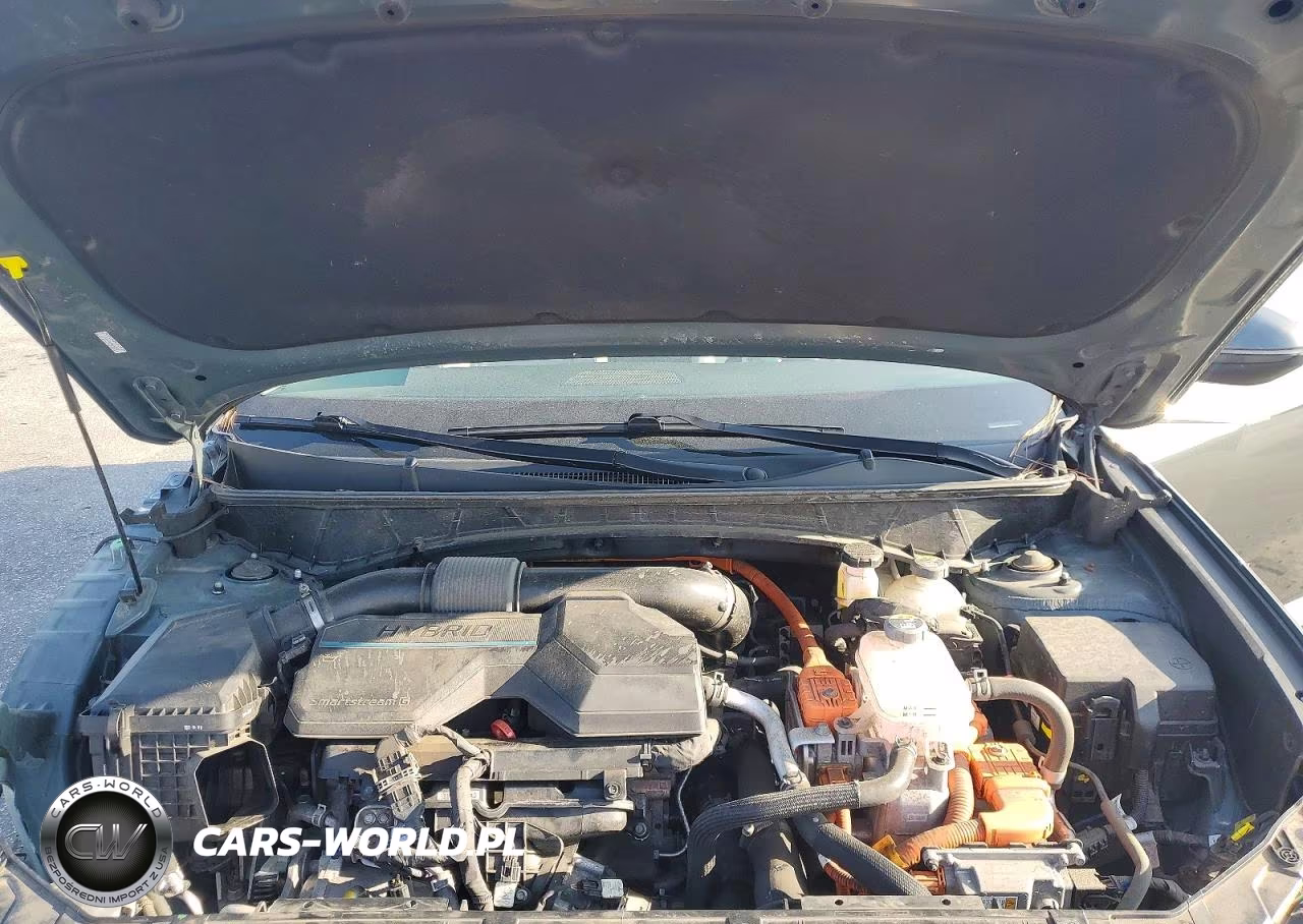 2024 Hyundai Tucson Sel Convenience VIN:KM8JCCD19RU162713 - 12