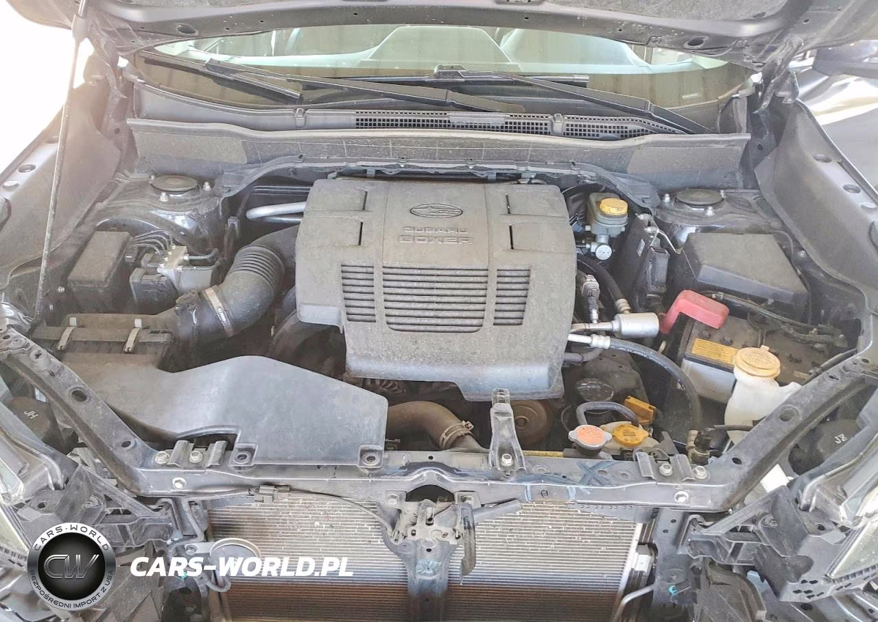 2019 Subaru Forester Limited VIN:JF2SKAUC1KH483887 - 11