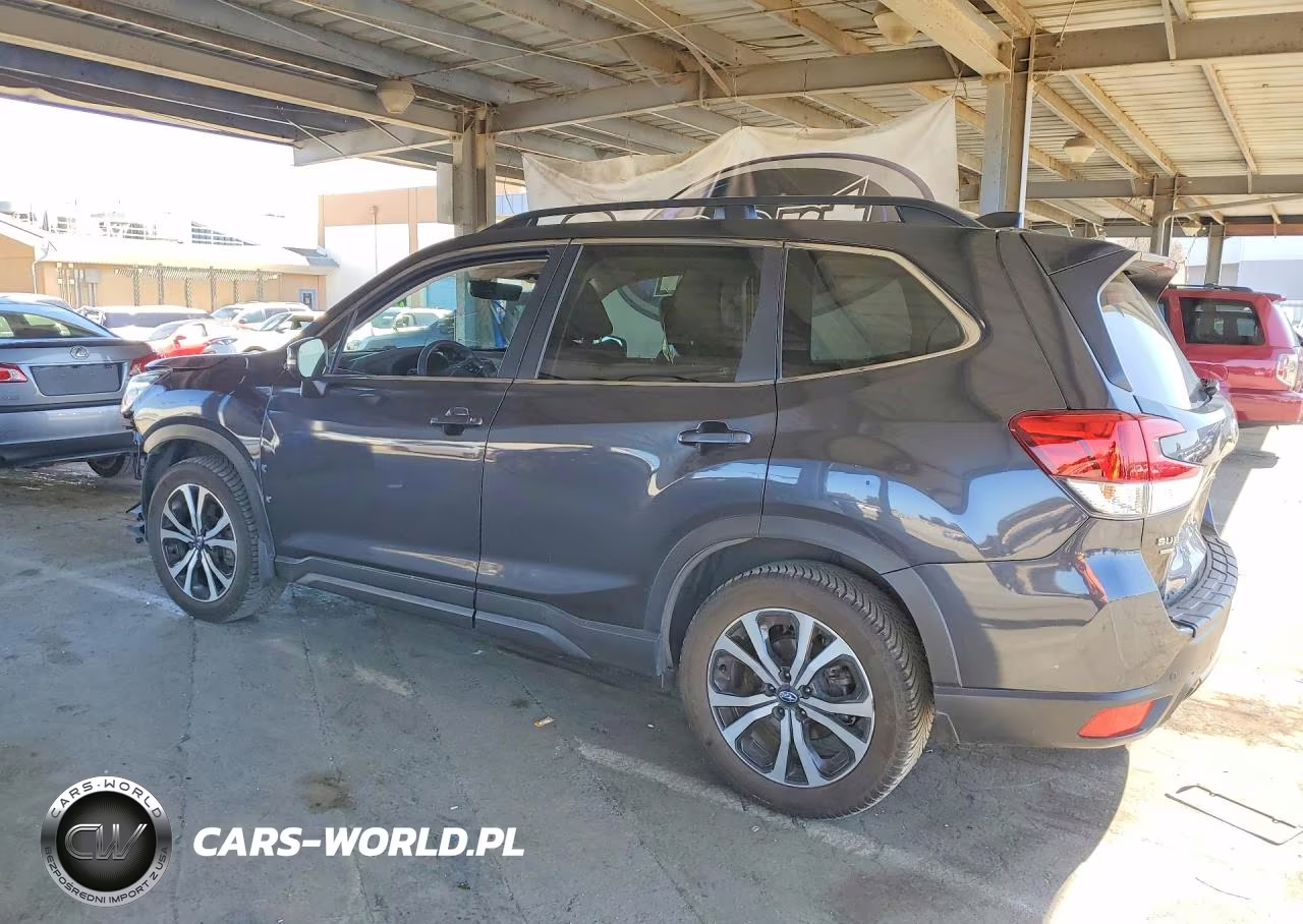 2019 Subaru Forester Limited VIN:JF2SKAUC1KH483887 - 2