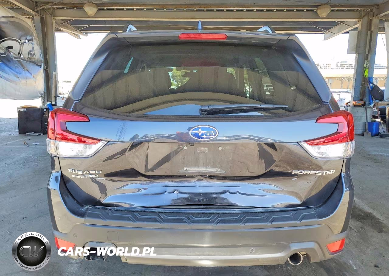 2019 Subaru Forester Limited VIN:JF2SKAUC1KH483887 - 6