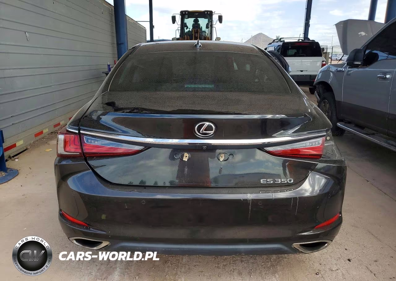 2020 Lexus Es 350 VIN:58ADZ1B19LU056779 - 6