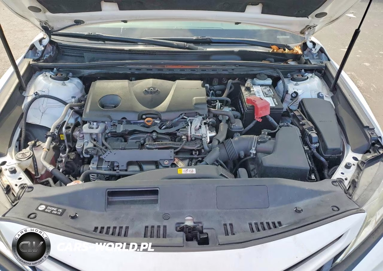 2019 Toyota Camry Se VIN:4T1B11HK2KU248713 - 11