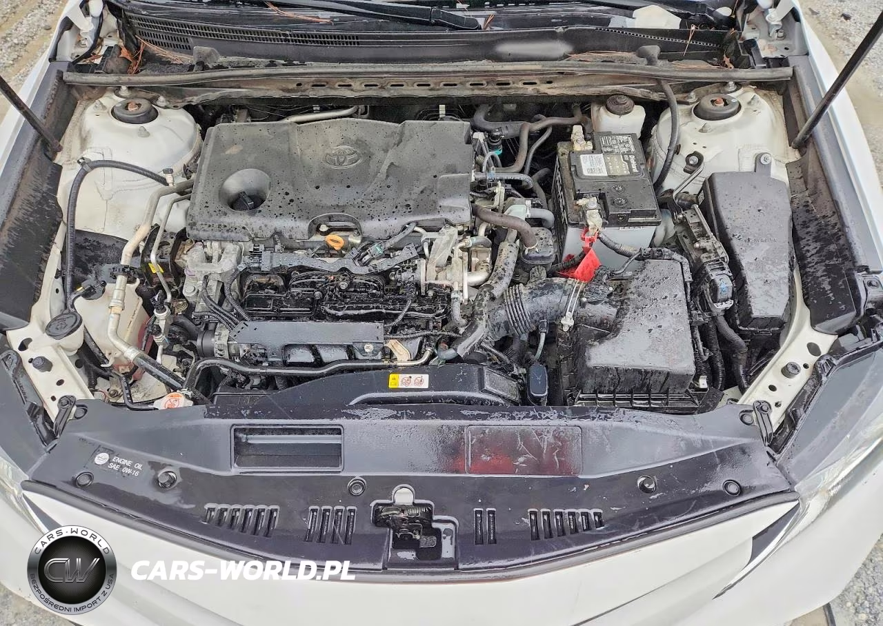 2019 Toyota Camry Le VIN:4T1B11HK0KU253232 - 11
