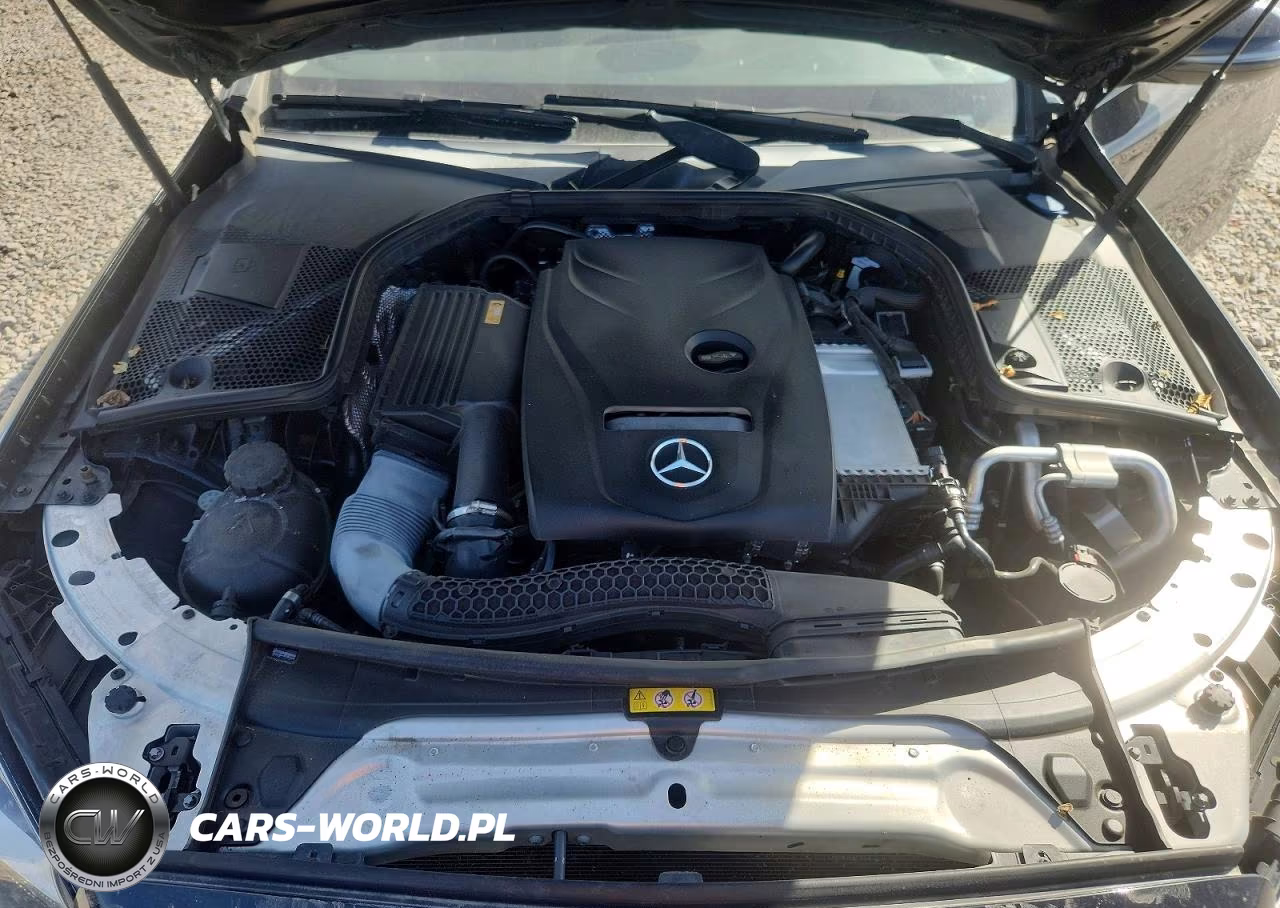 2017 Mercedes-Benz C 300 VIN:55SWF4JB1HU213891 - 11
