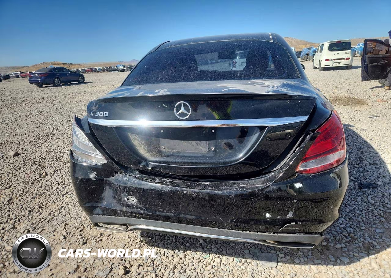 2017 Mercedes-Benz C 300 VIN:55SWF4JB1HU213891 - 6