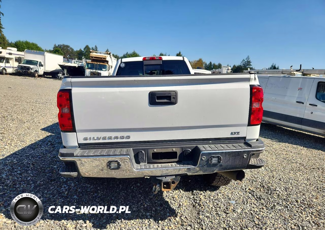 2018 Chevrolet Silverado K2500 Heavy Duty Ltz VIN:1GC1KWEY7JF106962 - 6