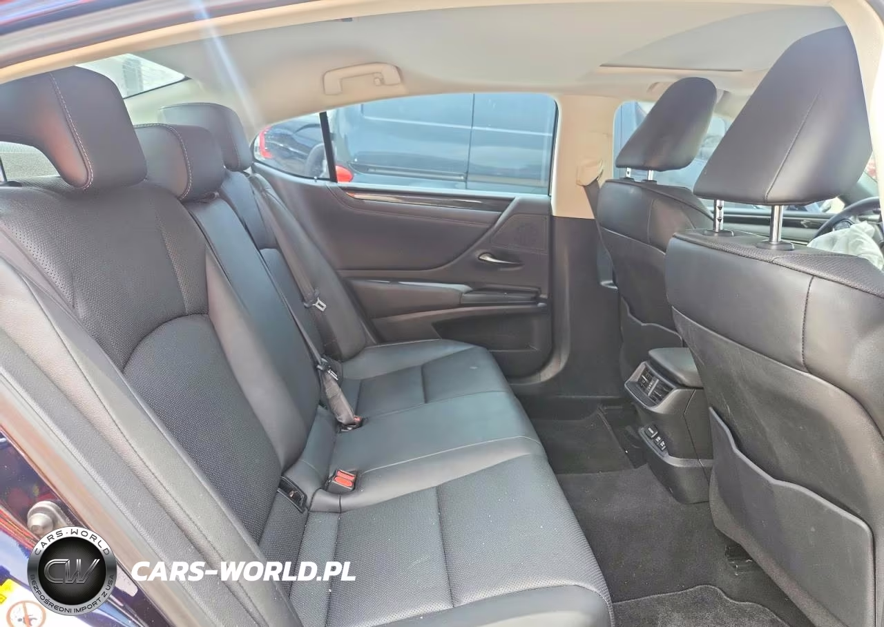 2019 Lexus Es 350 VIN:58ABZ1B10KU005483 - 10