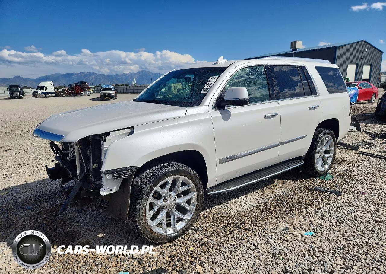 2017 Cadillac Escalade Luxury VIN:1GYS4BKJ6HR217892 - 1