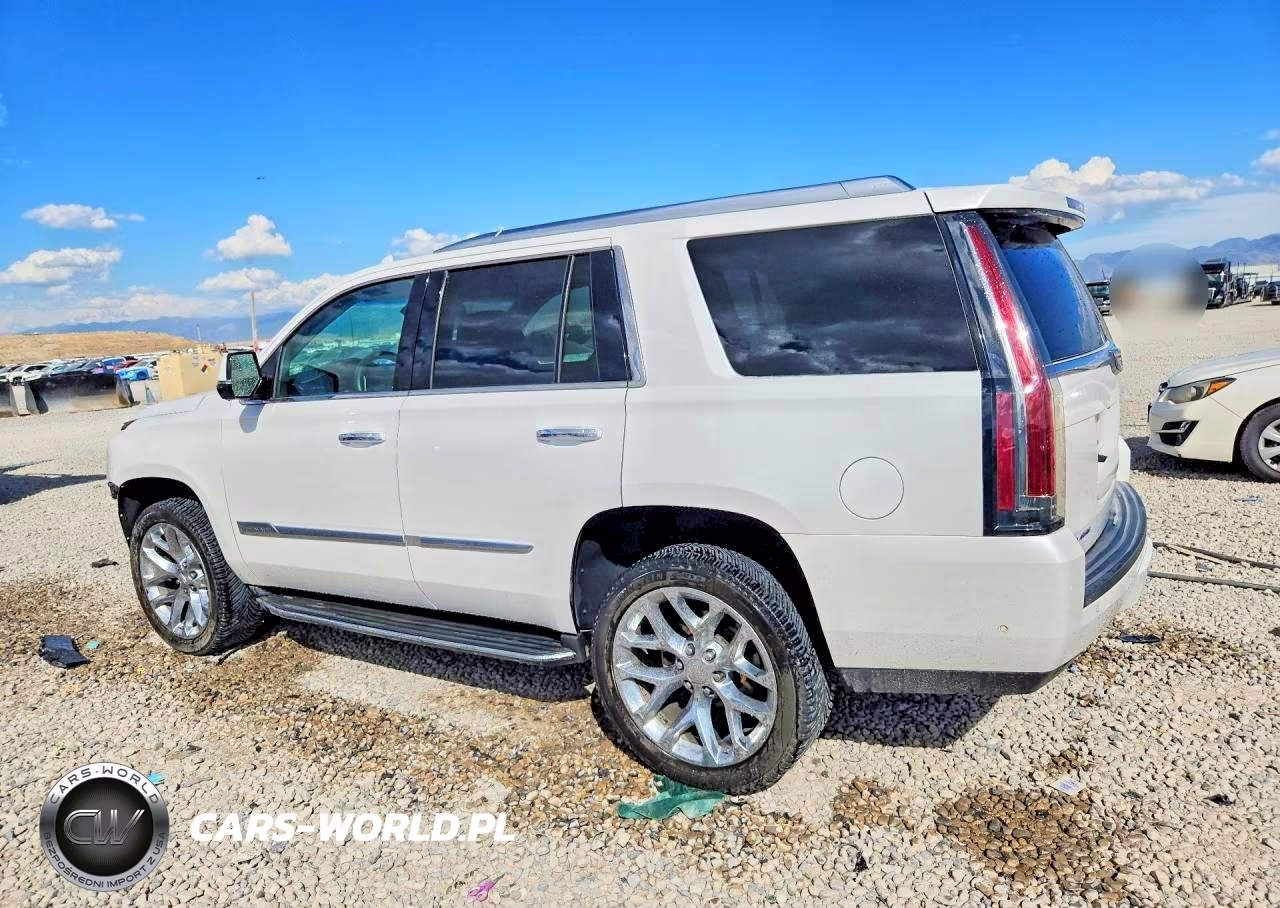 2017 Cadillac Escalade Luxury VIN:1GYS4BKJ6HR217892 - 2