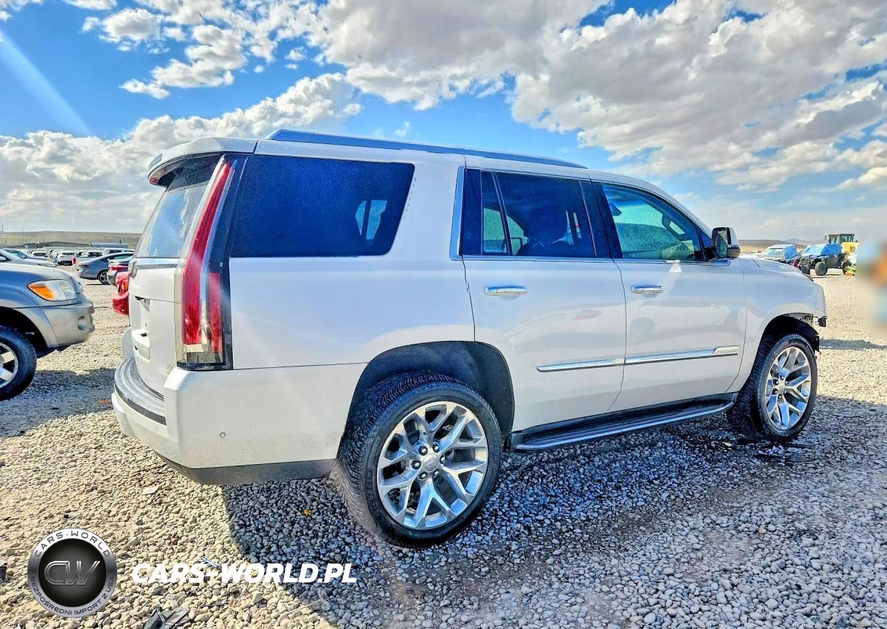 2017 Cadillac Escalade Luxury VIN:1GYS4BKJ6HR217892 - 3