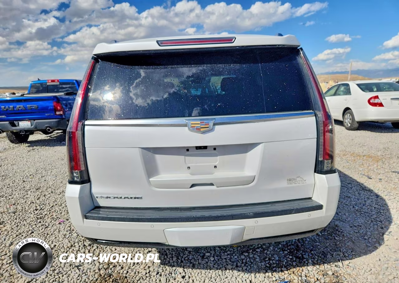 2017 Cadillac Escalade Luxury VIN:1GYS4BKJ6HR217892 - 6