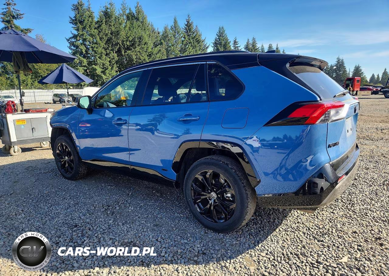 2024 Toyota Rav4 Xse VIN:JTME6RFV7RD561975 - 2