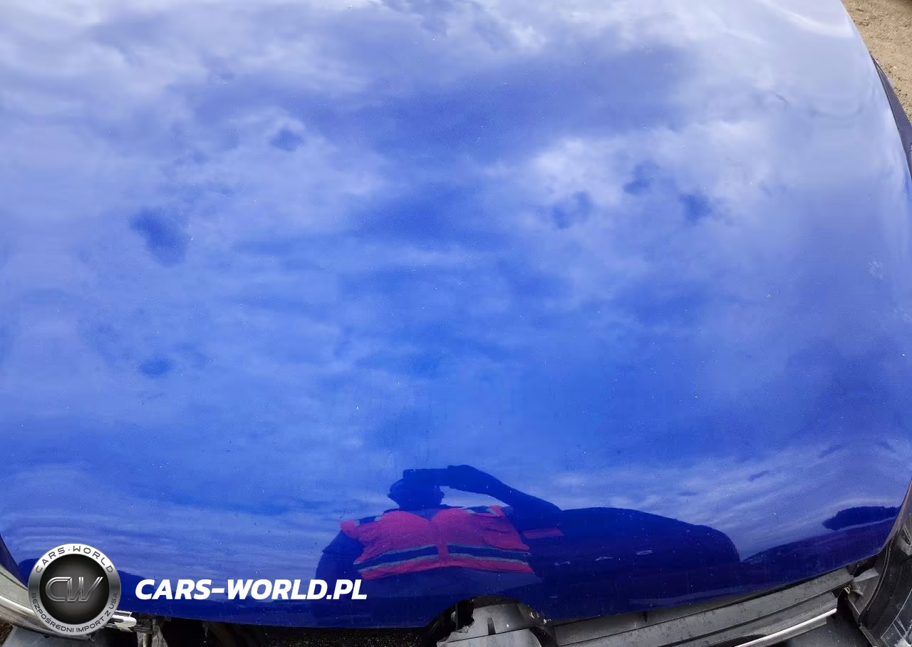 2018 Volkswagen Golf R VIN:WVWVF7AUXJW173358 - 11