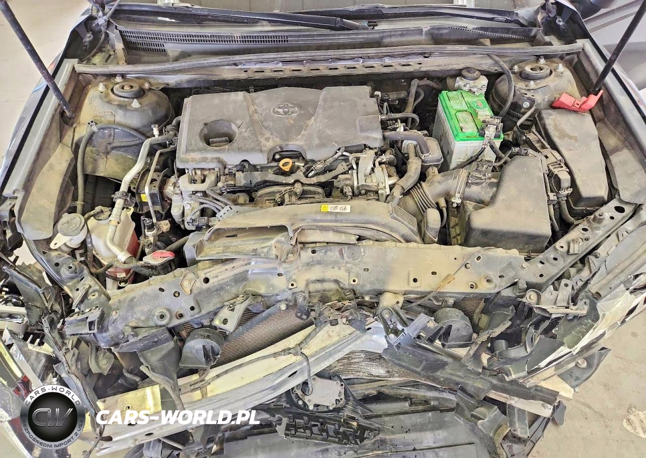 2019 Toyota Camry Le VIN:4T1B11HK5KU241030 - 11