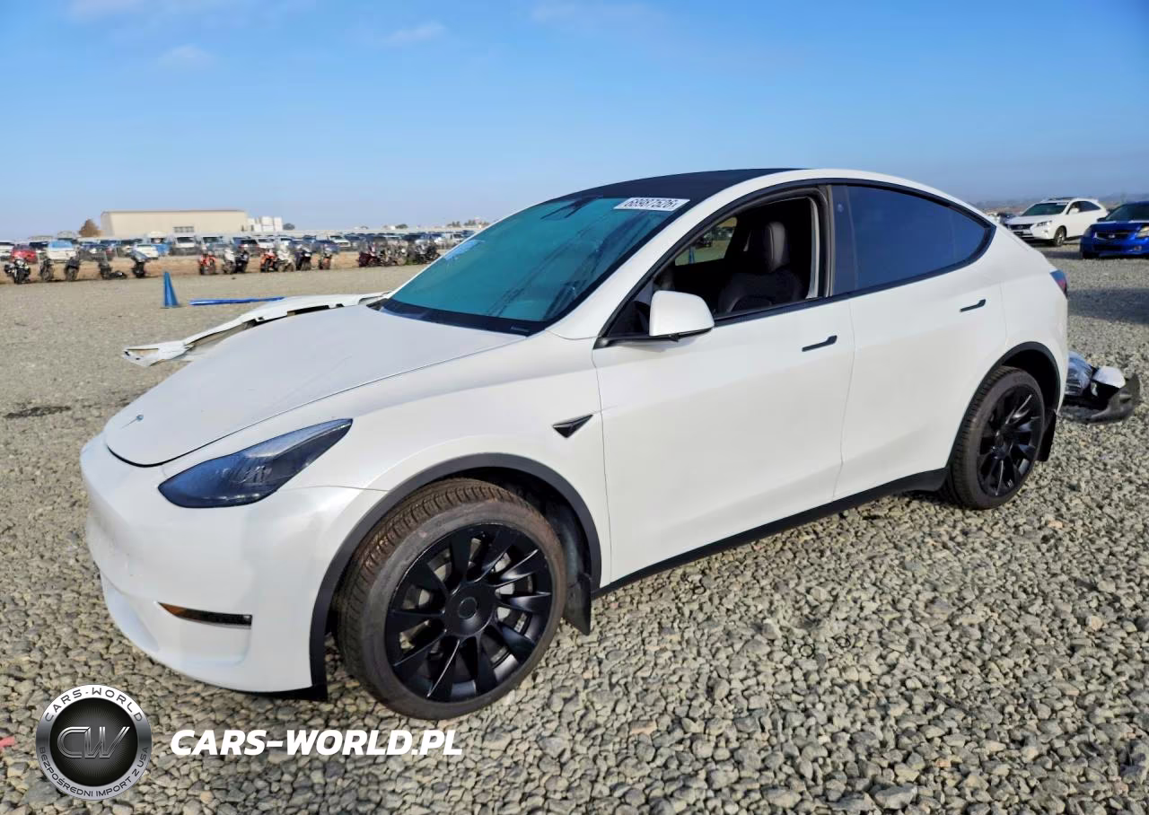2023 Tesla Model Y VIN:7SAYGDEE7PF690225 - 1