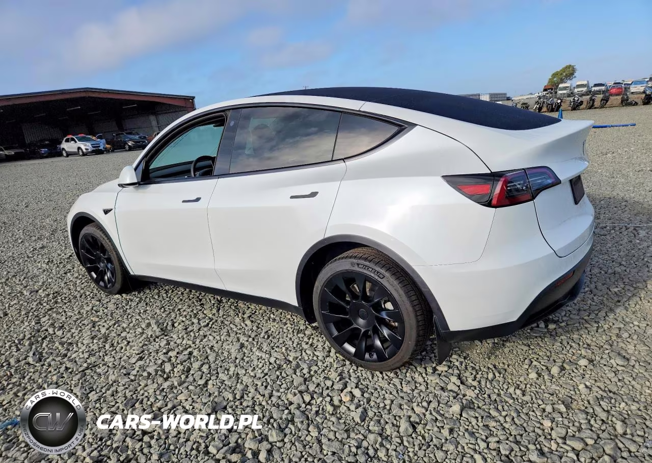 2023 Tesla Model Y VIN:7SAYGDEE7PF690225 - 2