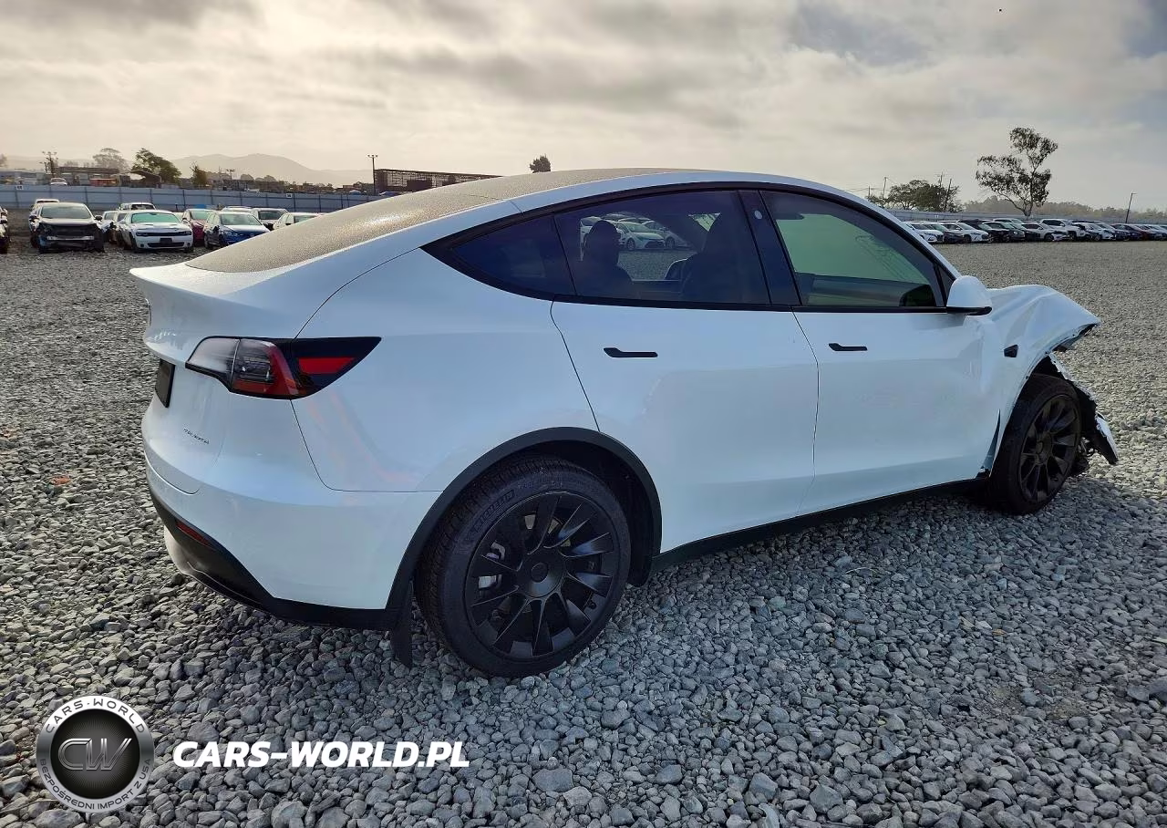 2023 Tesla Model Y VIN:7SAYGDEE7PF690225 - 3