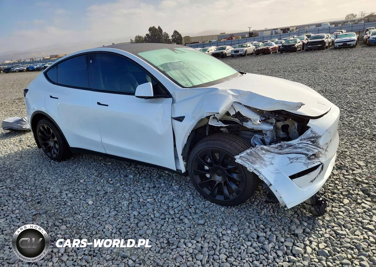 2023 Tesla Model Y VIN:7SAYGDEE7PF690225 - 4