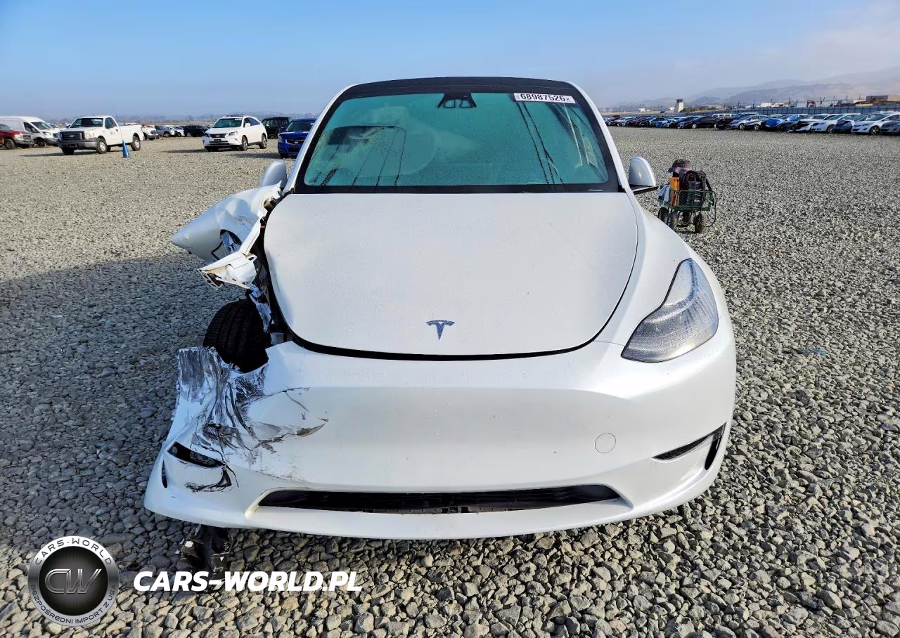 2023 Tesla Model Y VIN:7SAYGDEE7PF690225 - 5