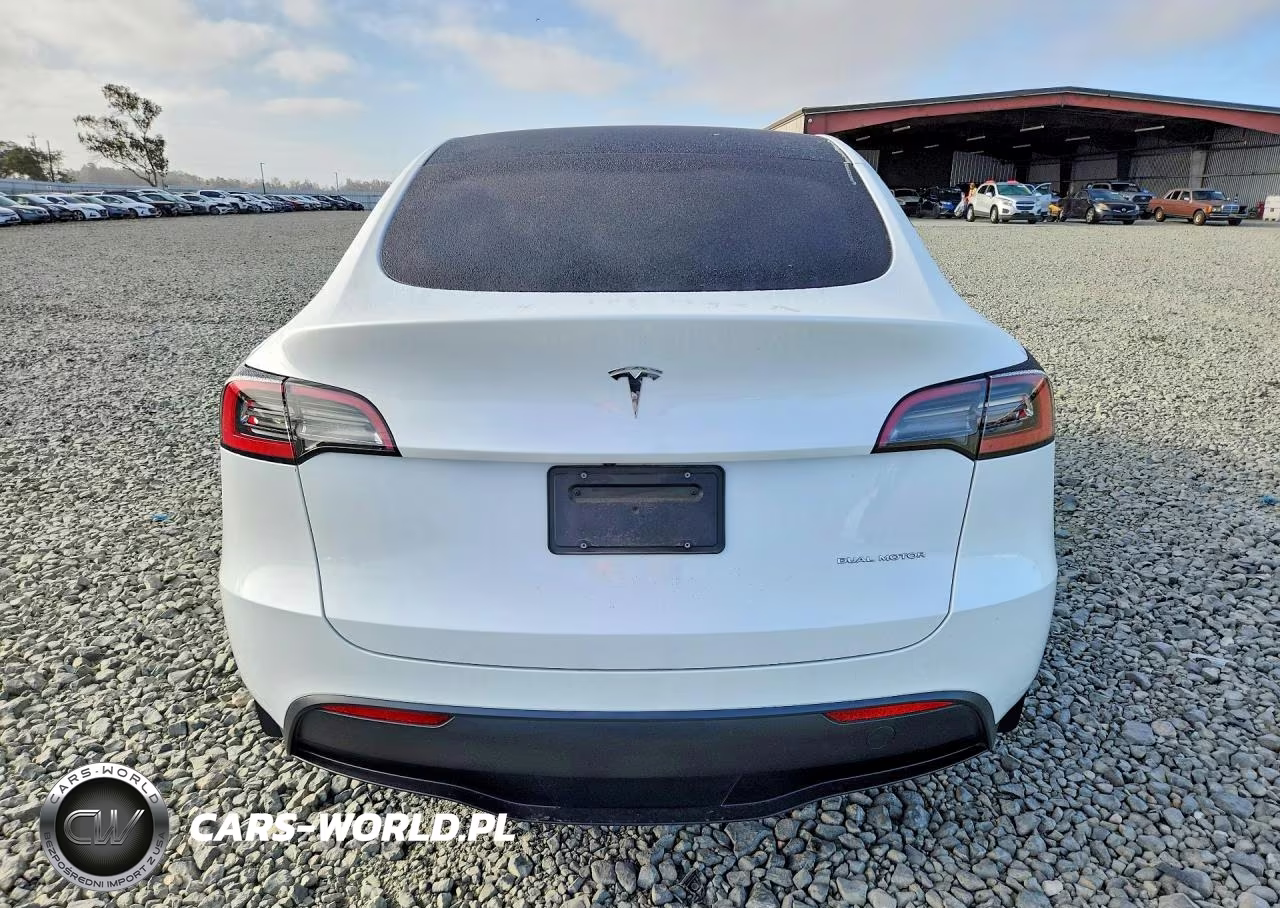 2023 Tesla Model Y VIN:7SAYGDEE7PF690225 - 6