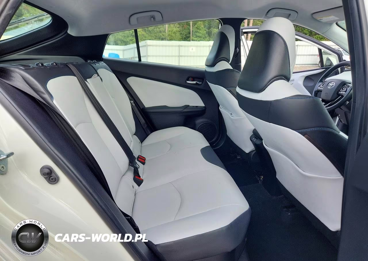 2019 Toyota Prius Limited VIN:JTDKARFU3K3069044 - 10