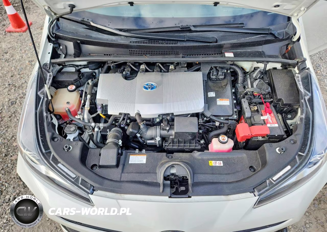 2019 Toyota Prius Limited VIN:JTDKARFU3K3069044 - 11