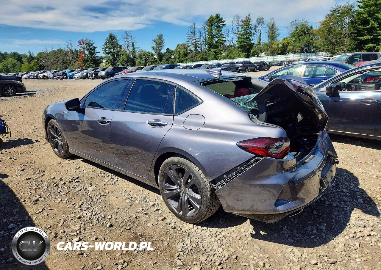 2023 Acura Tlx A-Spec VIN:19UUB6F51PA003691 - 2