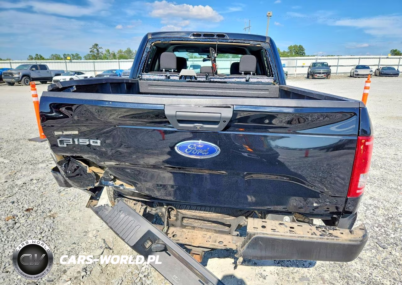 2017 Ford F150 Supercrew VIN:1FTEW1CP6HFA56407 - 6