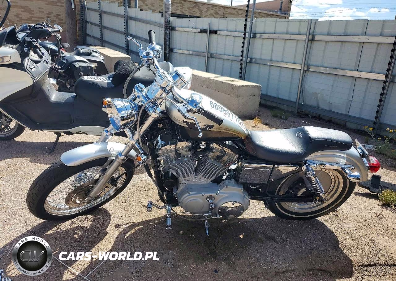 2003 Harley-Davidson Xl883 C Anniversary VIN:1HD4CJM423K410298 - 3