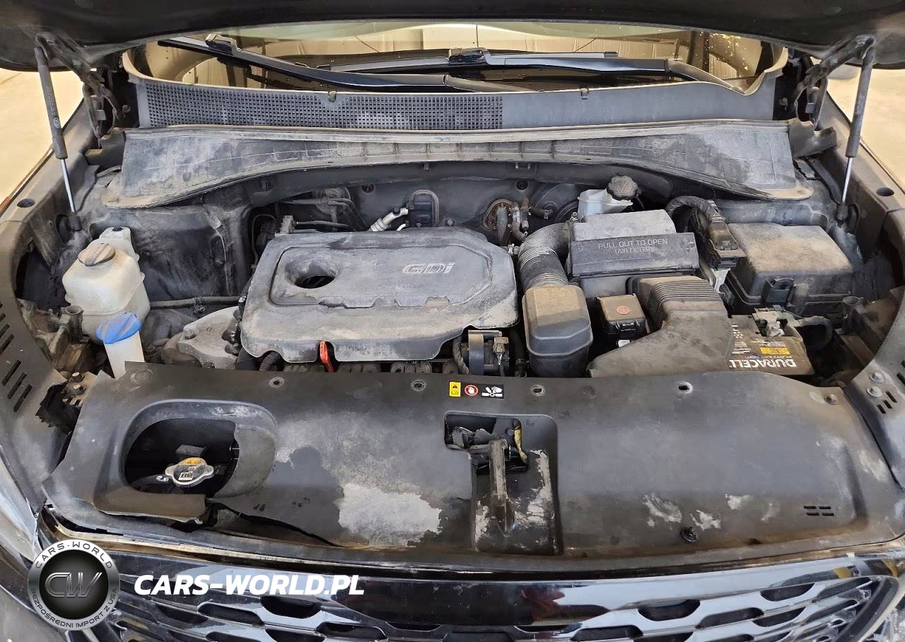 2019 Kia Sorento Lx VIN:5XYPGDA38KG549498 - 12
