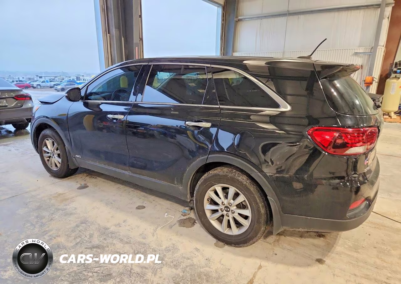 2019 Kia Sorento Lx VIN:5XYPGDA38KG549498 - 2