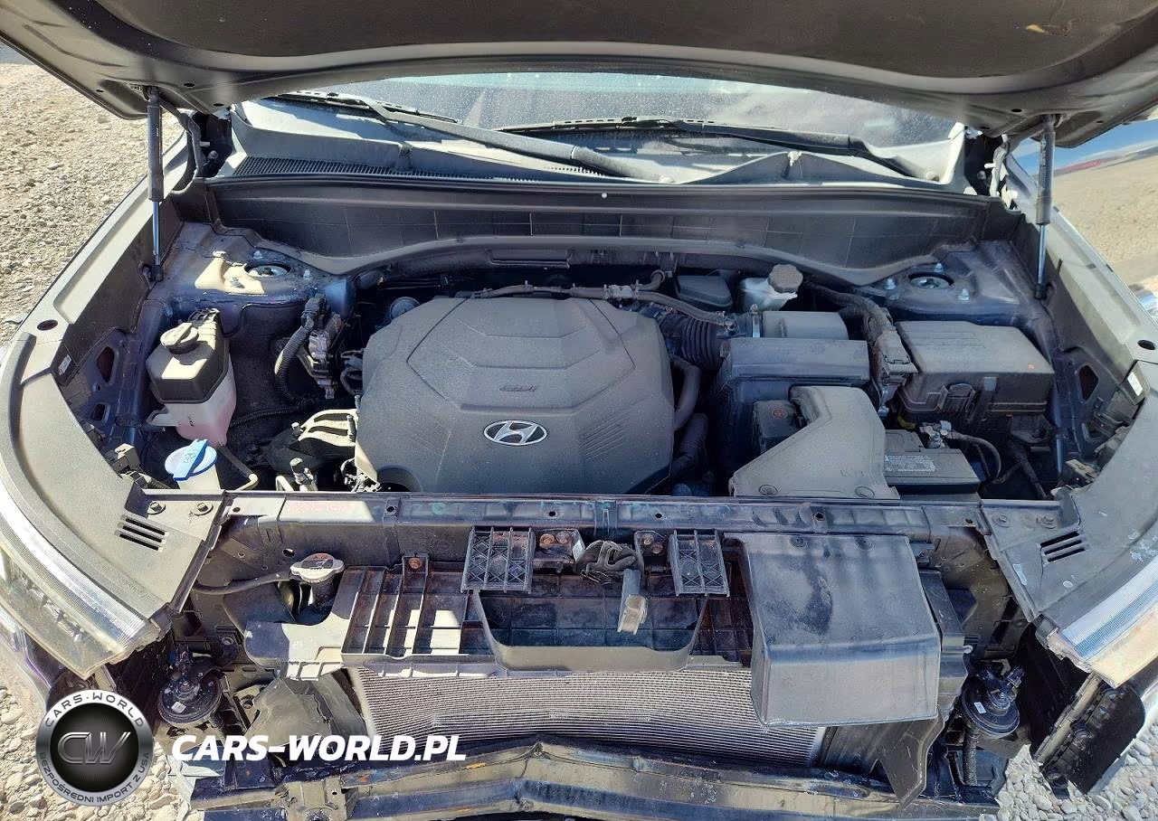 HYUNDAI PALISADE C VIN:KM8R7DHE3NU391103 - 12