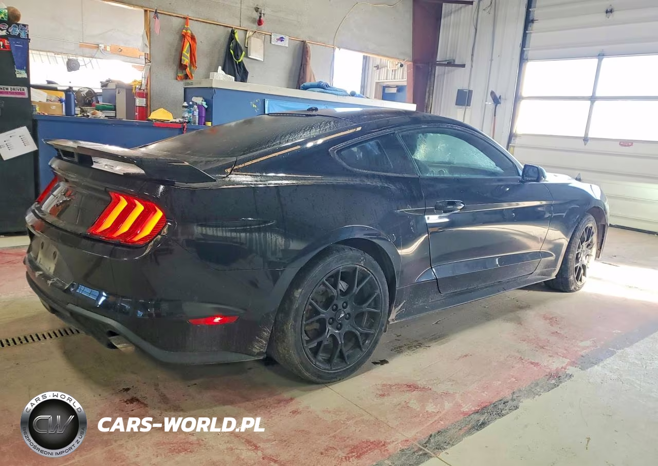 2018 Ford Mustang VIN:1FA6P8TH7J5116831 - 3