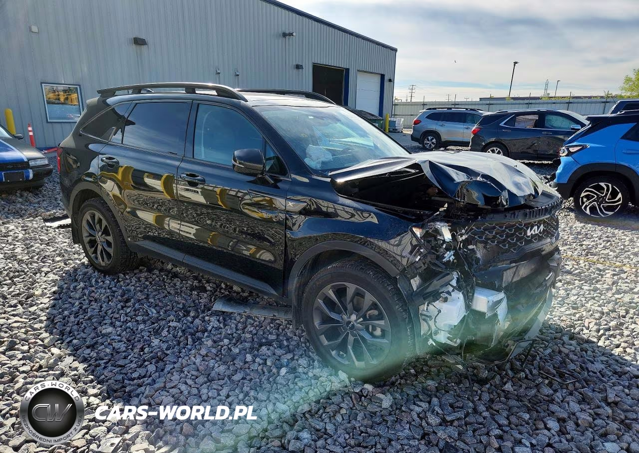 2023 Kia Sorento Ex VIN:5XYRHDLF4PG245184 - 4