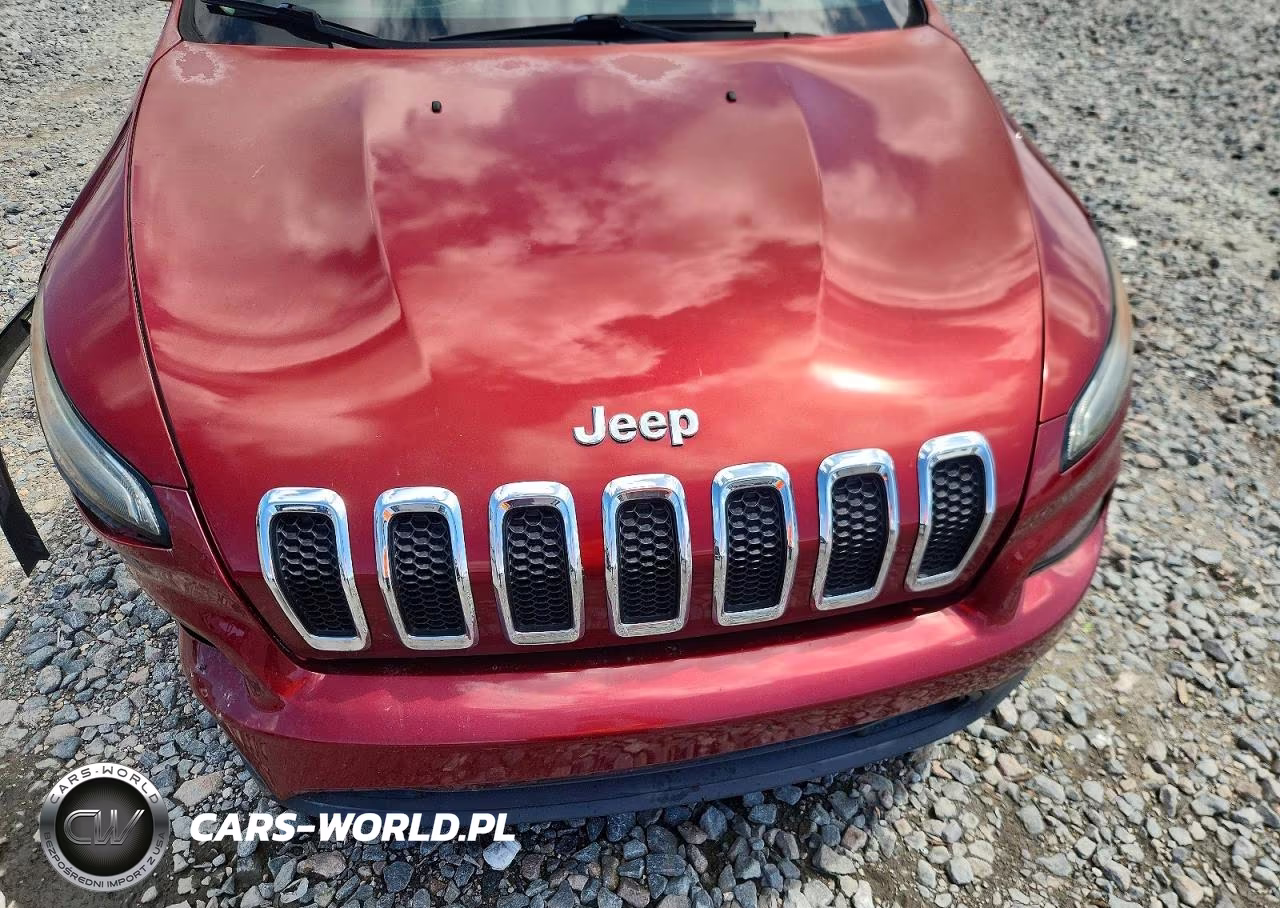 2016 Jeep Cherokee Sport VIN:1C4PJLABXGW238328 - 12