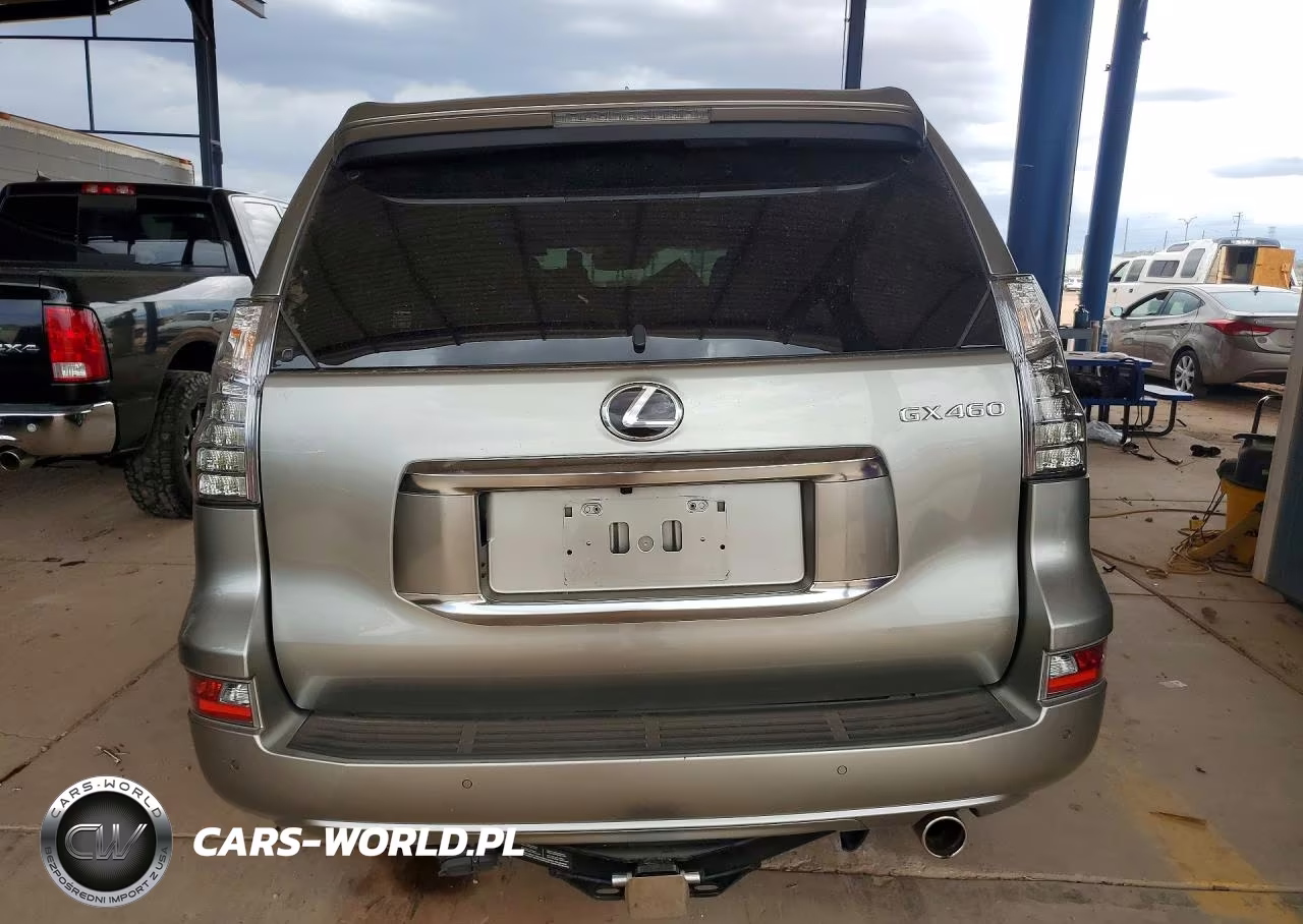 2020 Lexus Gx 460 Premium VIN:JTJAM7BX6L5262458 - 6