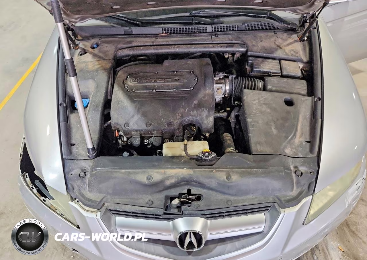 2006 Acura 3.2Tl VIN:19UUA66286A017952 - 11