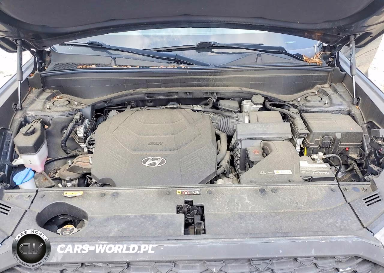 2021 Hyundai Palisade Calligraphy VIN:KM8R7DHE2MU264163 - 12