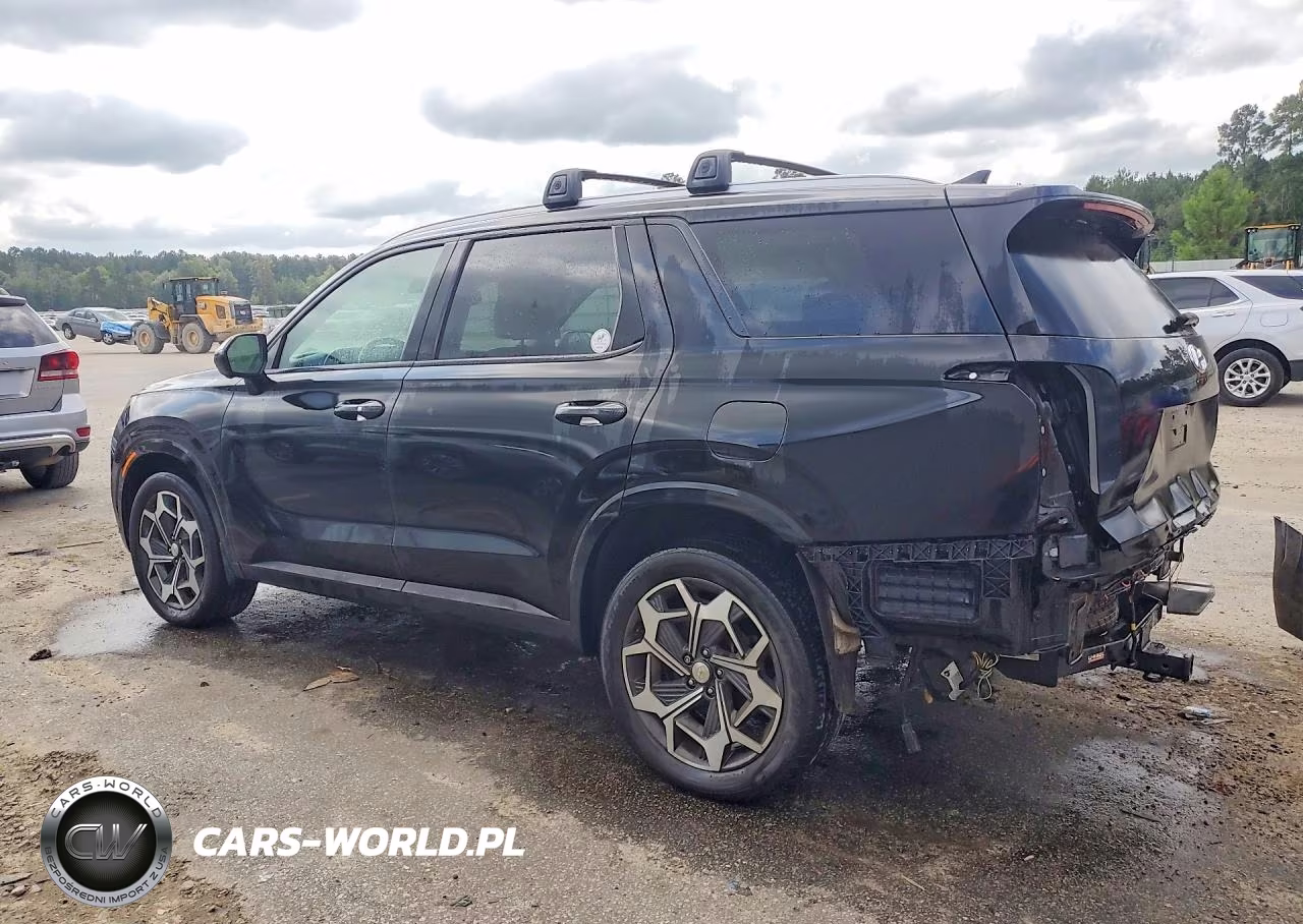 2021 Hyundai Palisade Calligraphy VIN:KM8R7DHE2MU264163 - 2