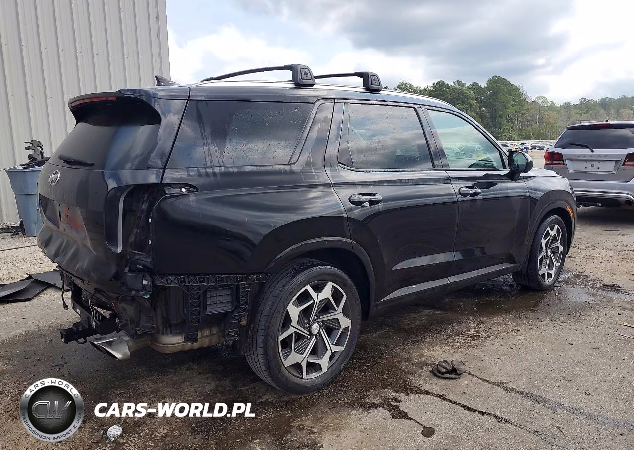 2021 Hyundai Palisade Calligraphy VIN:KM8R7DHE2MU264163 - 3
