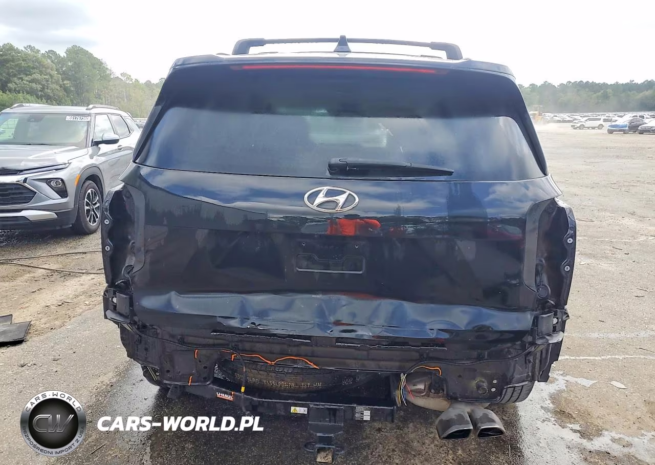 2021 Hyundai Palisade Calligraphy VIN:KM8R7DHE2MU264163 - 6