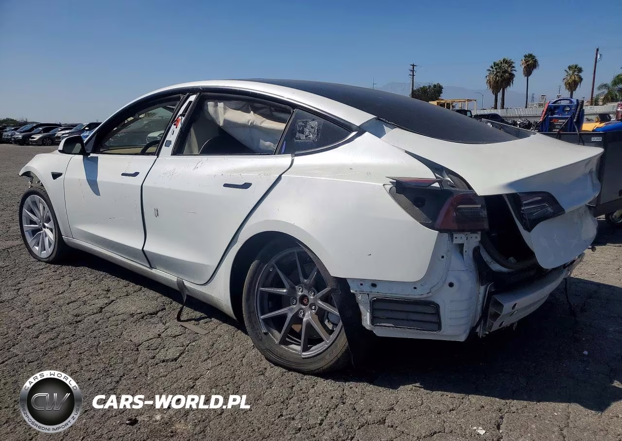 2022 Tesla Model 3 VIN:5YJ3E1EA0NF251681 - 2