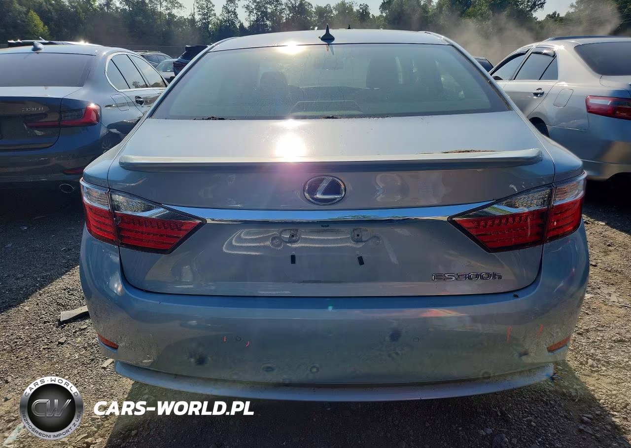 2013 Lexus Es 300H VIN:JTHBW1GG3D2006559 - 6