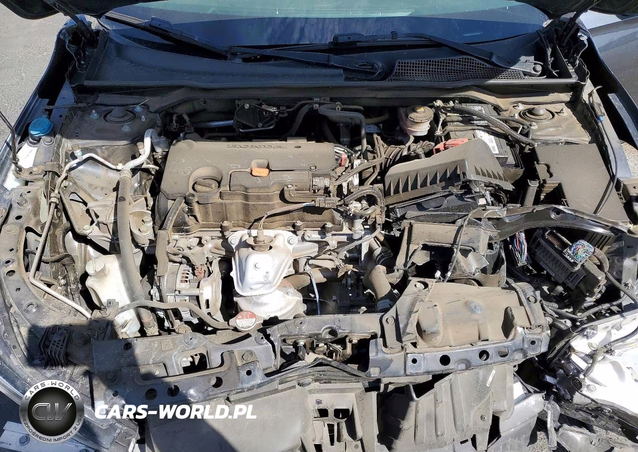 2024 Honda Civic Sport VIN:2HGFE2F5XRH519321 - 11