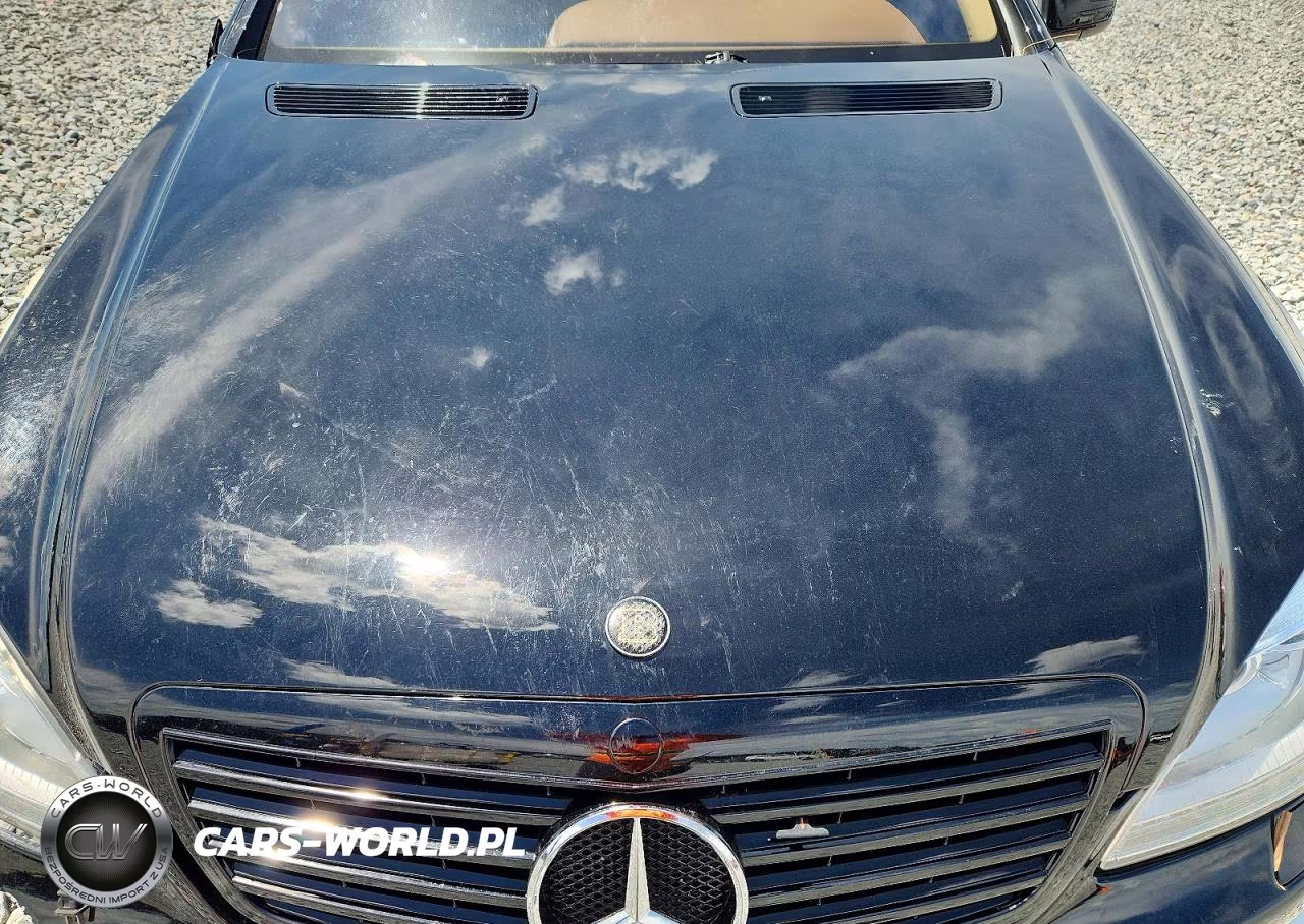 2010 Mercedes-Benz S 550 VIN:WDDNG7BB7AA290134 - 11
