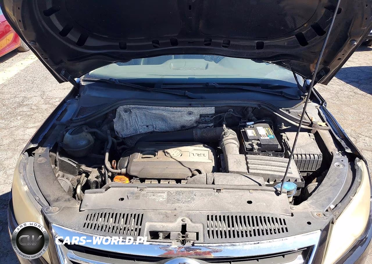 2010 Volkswagen Tiguan Se VIN:WVGBV9AX5AW510123 - 12